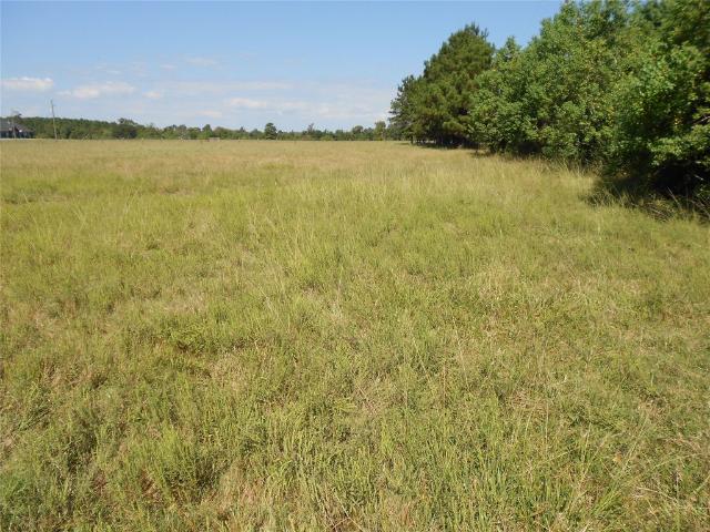 Land for sale in Groveton, Texas