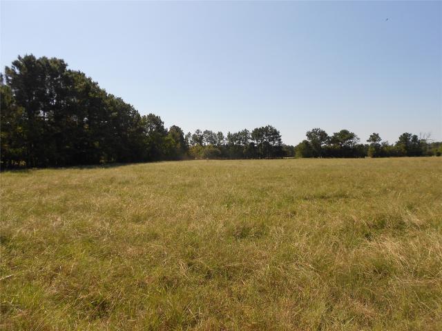 Land for sale in Groveton, Texas