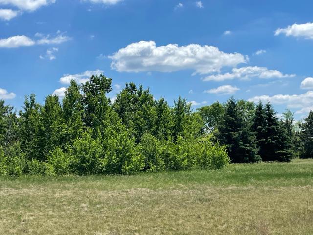 Land for sale in Minnesota