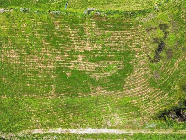 Land for sale in Peculiar, Missouri