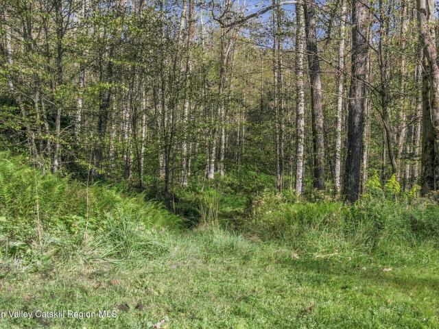 Land for sale in Big Indian Mountain Association, Town of Shandaken