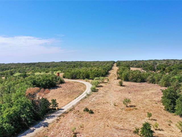 Land for sale in Perrin, Jack County