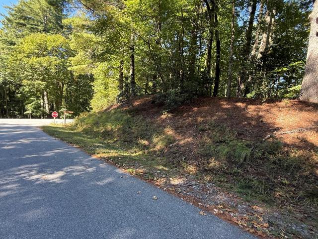Land for sale in Brevard, Transylvania County