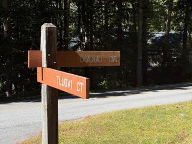 Land for sale in Brevard, Transylvania County