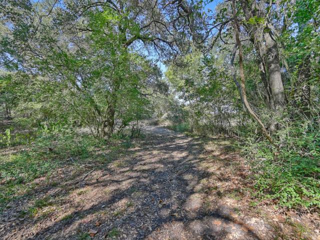 Land for sale in Carmine, Texas