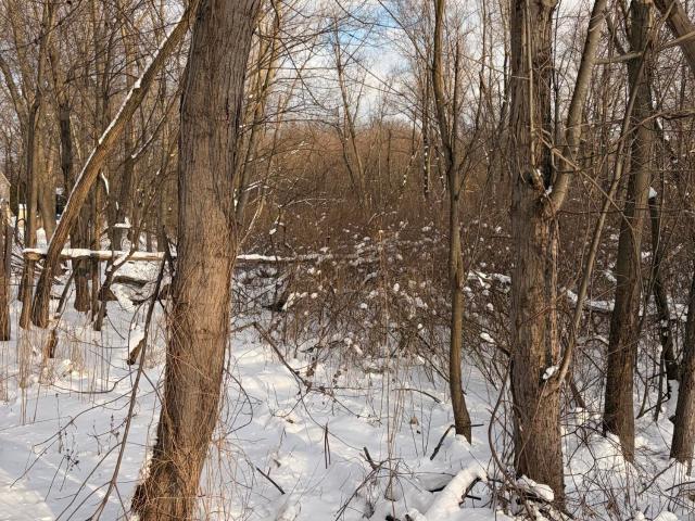 Land for sale in Porter, Indiana