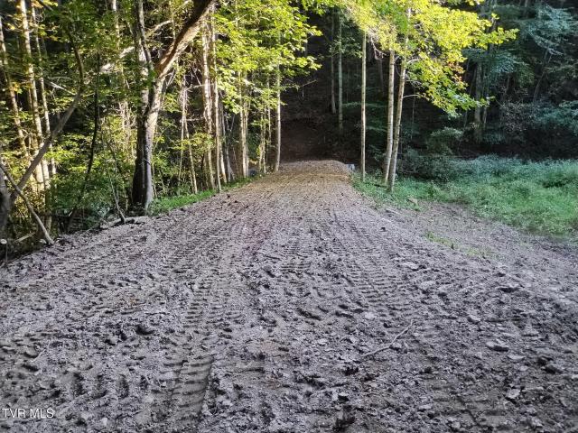 Land for sale in Virginia