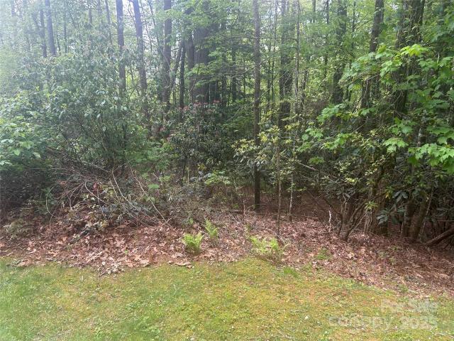 Property for sale in Transylvania, North Carolina