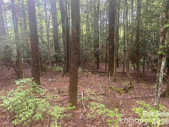 Land for sale in Sapphire, Brevard