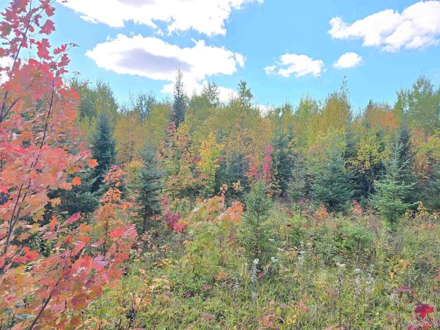Land for sale in Covington Township, Baraga County