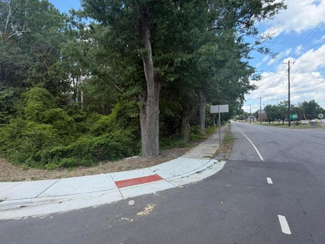 Land for sale in Ellerbe, North Carolina