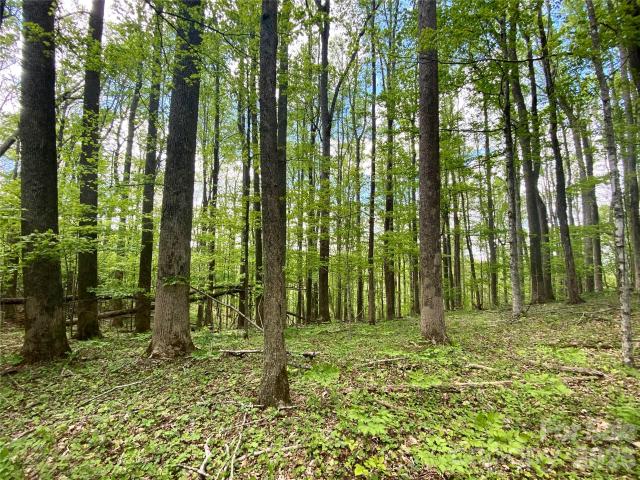 Land for sale in Mars Hill, North Carolina