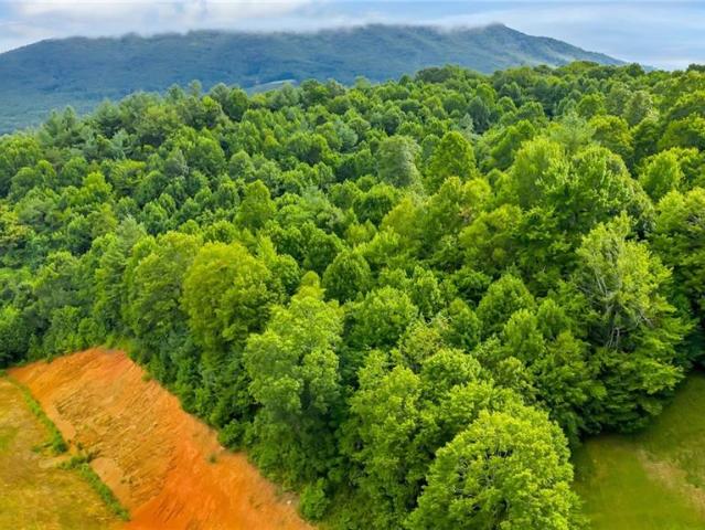 Land for sale in Jefferson, North Carolina