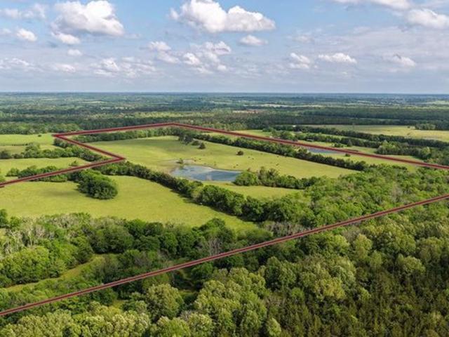 Land for sale in Annona, Texas