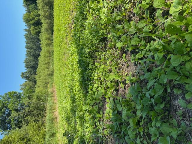 Land for sale in Sibley, Minnesota