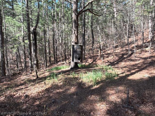Land for sale in Heavener, Oklahoma