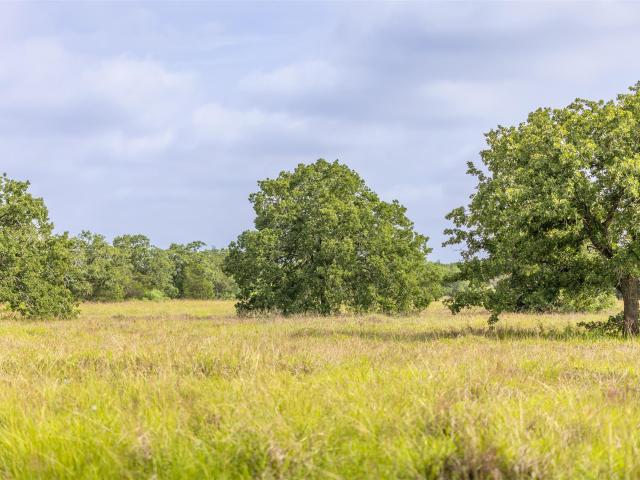 Farm for sale in Giddings, Texas