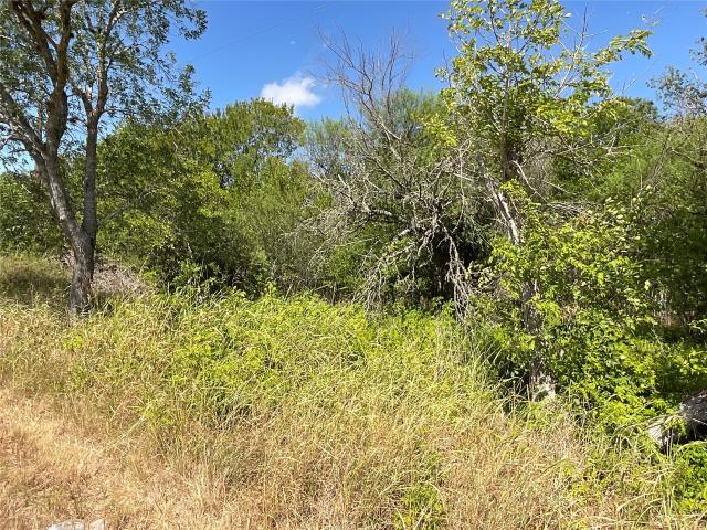 Land for sale in Dewitt, Texas