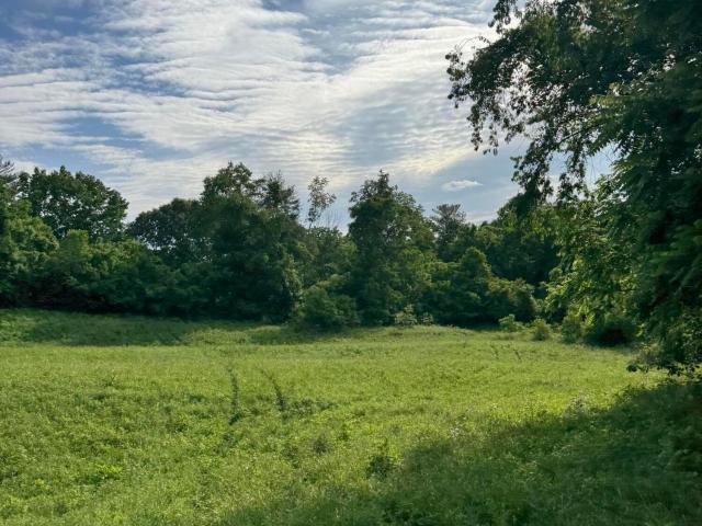 Land for sale in Tennessee