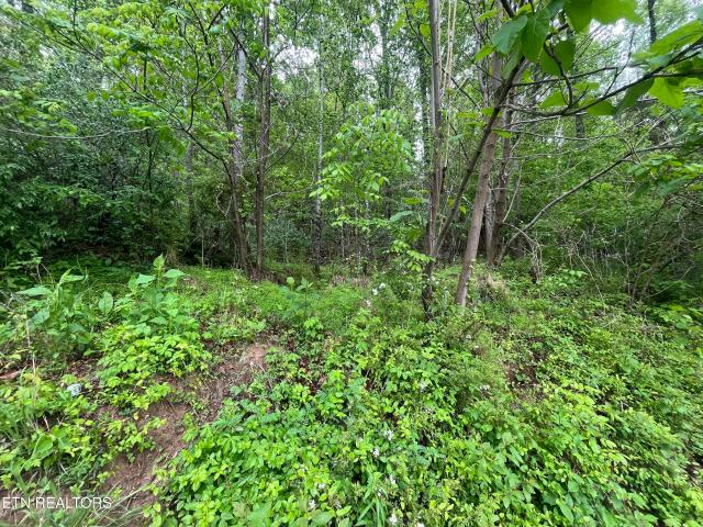 Land for sale in Virginia
