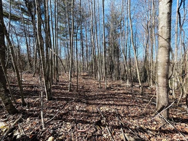 Land for sale in Virginia