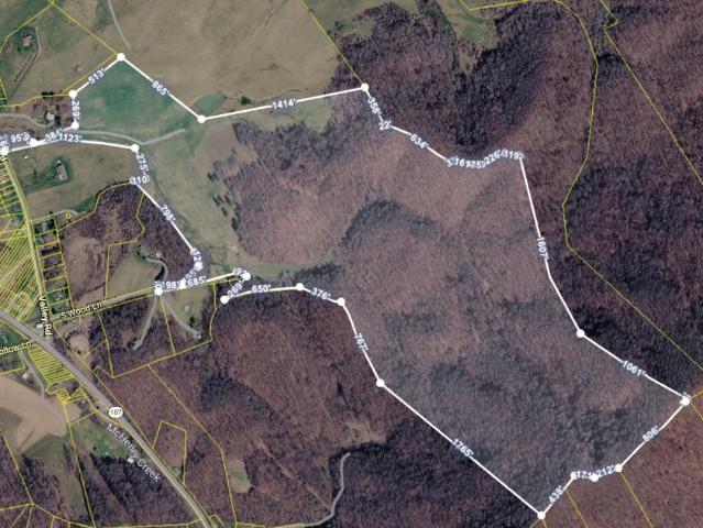 Land for sale in Pleasant Heights, Saltville
