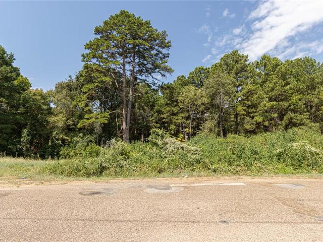 Land for sale in Henderson, Texas