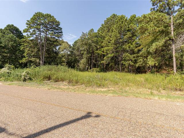 Land for sale in Henderson, Texas
