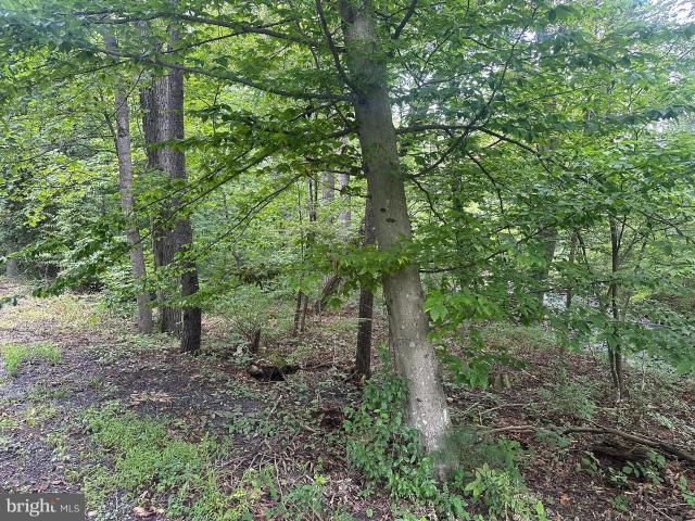 Land for sale in Virginia