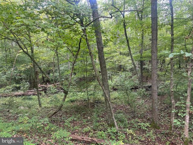 Land for sale in Virginia
