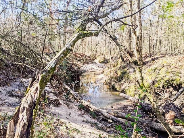 Land for sale in Chester, Texas