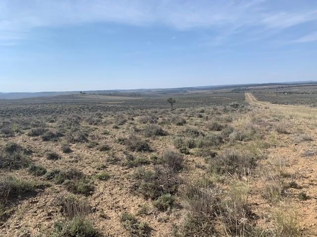 Land for sale in Los Ojos, New Mexico