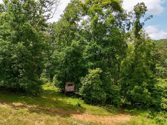Land for sale in Virginia