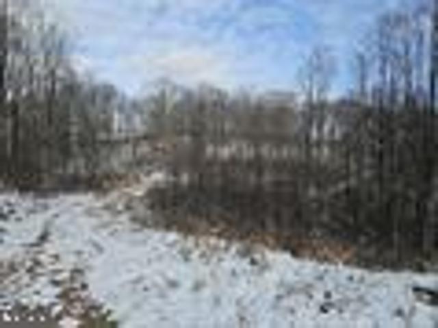Land for sale in Kingwood, West Virginia