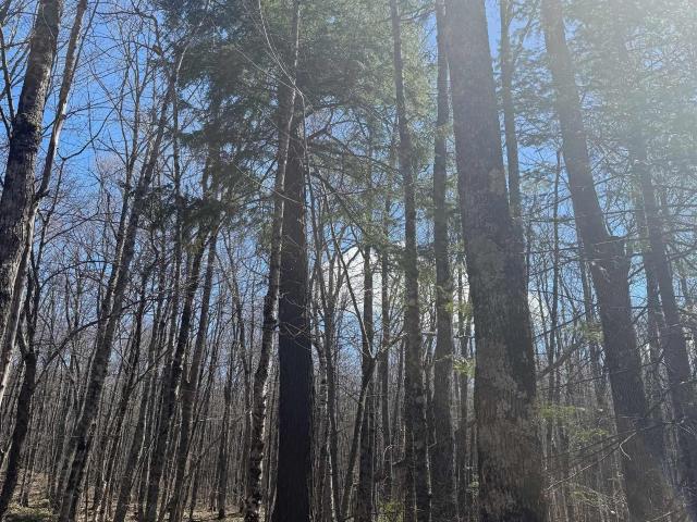 Land for sale in Victoria, Rockland Township