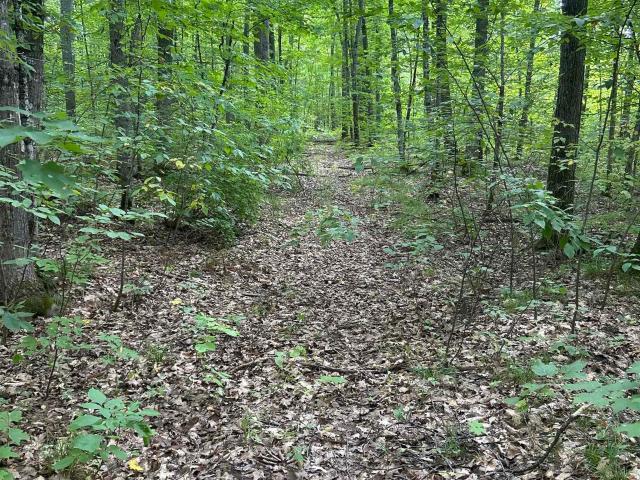 Land for sale in Rockland Township, Ontonagon County