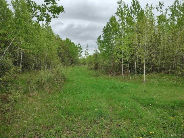 Land for sale in Michigan