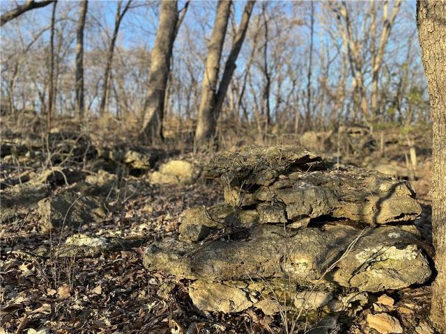 Land for sale in Kansas