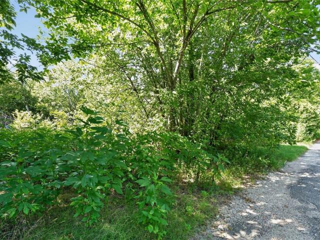 Land for sale in Navarro, Texas