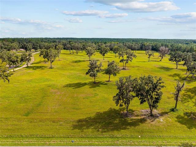 Land for sale in Reddick, Florida