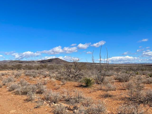 Land for sale in Douglas