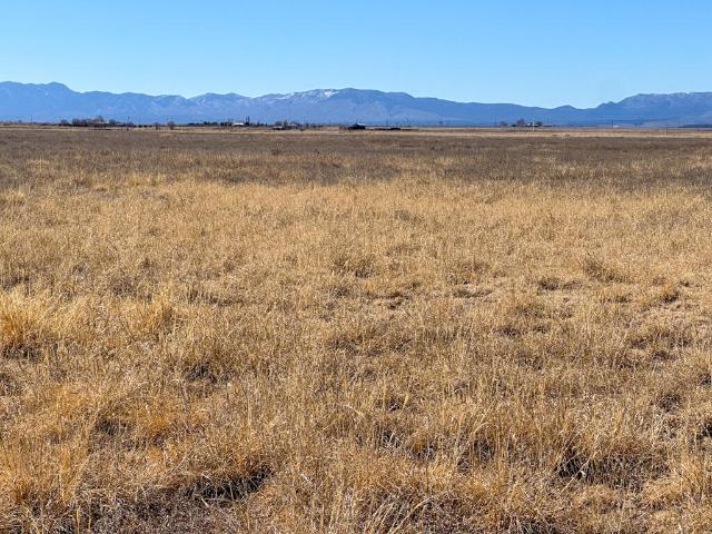 Farm for sale in Estancia, New Mexico