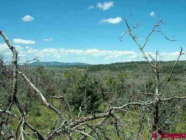 Land for sale in Norwood, Colorado