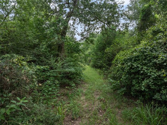 Land for sale in Normangee, Texas