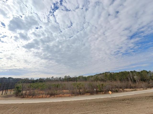 Land for sale in Dillon, South Carolina