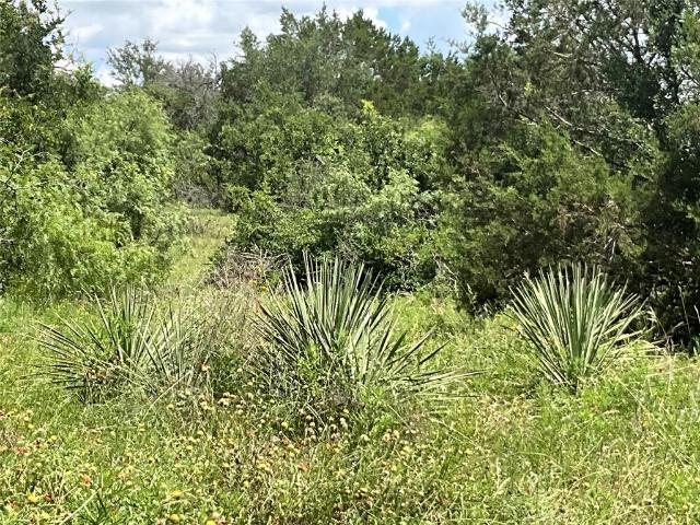 Land for sale in Gustine, Comanche County