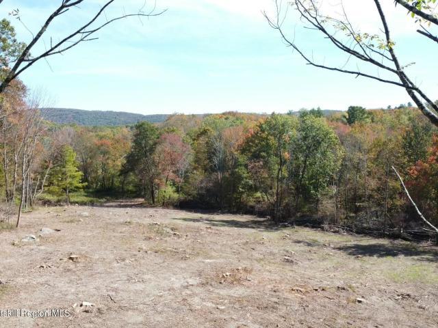 Land for sale in Austerlitz, New York