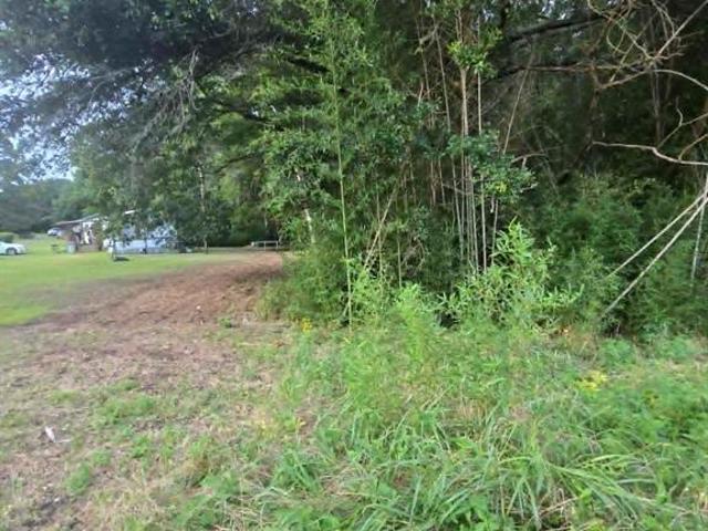 Land for sale in Morris, Texas