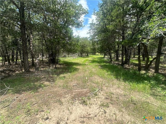 Land for sale in Flatonia, Texas