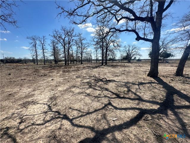 Land for sale in Flatonia, Texas